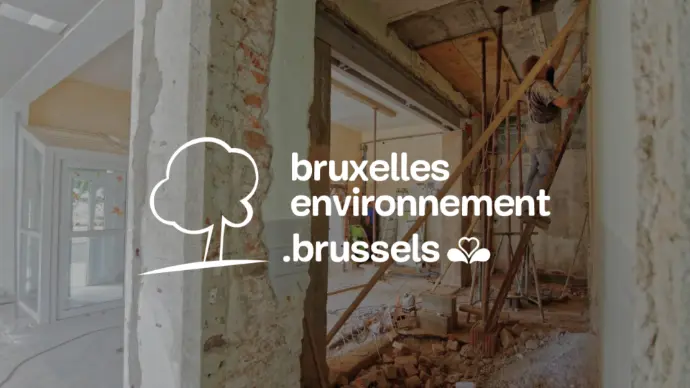 The different profiles of renovators